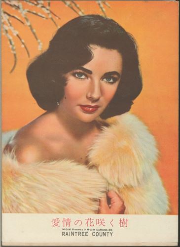 愛情の花咲く樹 [海星堂書店]